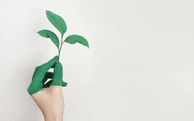 Blog 13 Los 5 beneficios de tener un negocio social
